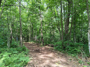 10 Acres Near Danbury, WI - St. Croix River, Trails & Buildable Land 10 Acres Near Danbury, WI - St. Croix River, Trails & Buildable Land