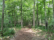 10 Acres Near Danbury, WI - St. Croix River, Trails & Buildable Land 10 Acres Near Danbury, WI - St. Croix River, Trails & Buildable Land