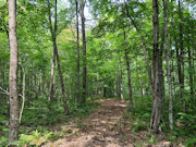 10 Acres Near Danbury, WI - St. Croix River, Trails & Buildable Land 10 Acres Near Danbury, WI - St. Croix River, Trails & Buildable Land