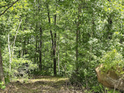 Buildable 8-Acre Recreational Property Near Minong Flowage in Dairyland, Wisconsin