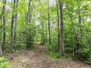 Buildable 8-Acre Recreational Property Near Minong Flowage in Dairyland, Wisconsin Buildable 8-Acre Recreational Property Near Minong Flowage in Dairyland, Wisconsin