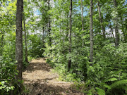 Buildable 8-Acre Recreational Property Near Minong Flowage in Dairyland, Wisconsin Buildable 8-Acre Recreational Property Near Minong Flowage in Dairyland, Wisconsin