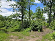 View the New Listing