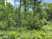 Secluded 5.4 Acres Near Dairyland, WI with ATV Access and Nearby St. Croix River