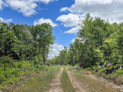 Nearly 2 Acres with Fishtrap Lake Access Near Winter, WI Nearly 2 Acres with Fishtrap Lake Access Near Winter, WI