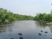 5+ Acres Near Gordon, WI - Buildable Northwoods Land
