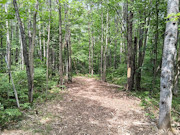 10 Acres Near Danbury, WI - Buildable Land Near the St. Croix & Minong Flowages