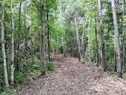 10 Acres Near Danbury, WI - Buildable Land Near the St. Croix & Minong Flowages