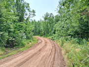 10 Acres Near Danbury, WI - Buildable Land Near the St. Croix & Minong Flowages