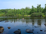 10 Acres Near Danbury, WI - Buildable Land Near the St. Croix & Minong Flowages