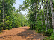 5+ Acres Near Big Chetac Lake - Ready for Your Camper