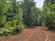 5+ Acres Near Big Chetac Lake - Ready for Your Camper 5+ Acres Near Big Chetac Lake - Ready for Your Camper