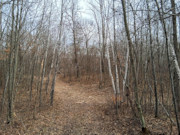 2-Acre Northwoods Property Near Trego, WI - Ready for Camping or Cabin 2-Acre Northwoods Property Near Trego, WI - Ready for Camping or Cabin