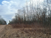 2-Acre Northwoods Property Near Trego, WI - Ready for Camping or Cabin 2-Acre Northwoods Property Near Trego, WI - Ready for Camping or Cabin