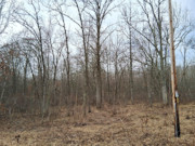 2-Acre Northwoods Property Near Trego, WI - Ready for Camping or Cabin 2-Acre Northwoods Property Near Trego, WI - Ready for Camping or Cabin