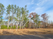 5 Acres For Sale near Webster, WI - Adjoining 5 Acres Available 5 Acres For Sale near Webster, WI - Adjoining 5 Acres Available