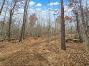 5 Acres For Sale near Webster, WI - Adjoining 5 Acres Available 5 Acres For Sale near Webster, WI - Adjoining 5 Acres Available