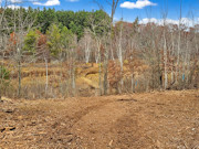 5 Acres For Sale near Webster, WI - Adjoining 5 Acres Available 5 Acres For Sale near Webster, WI - Adjoining 5 Acres Available